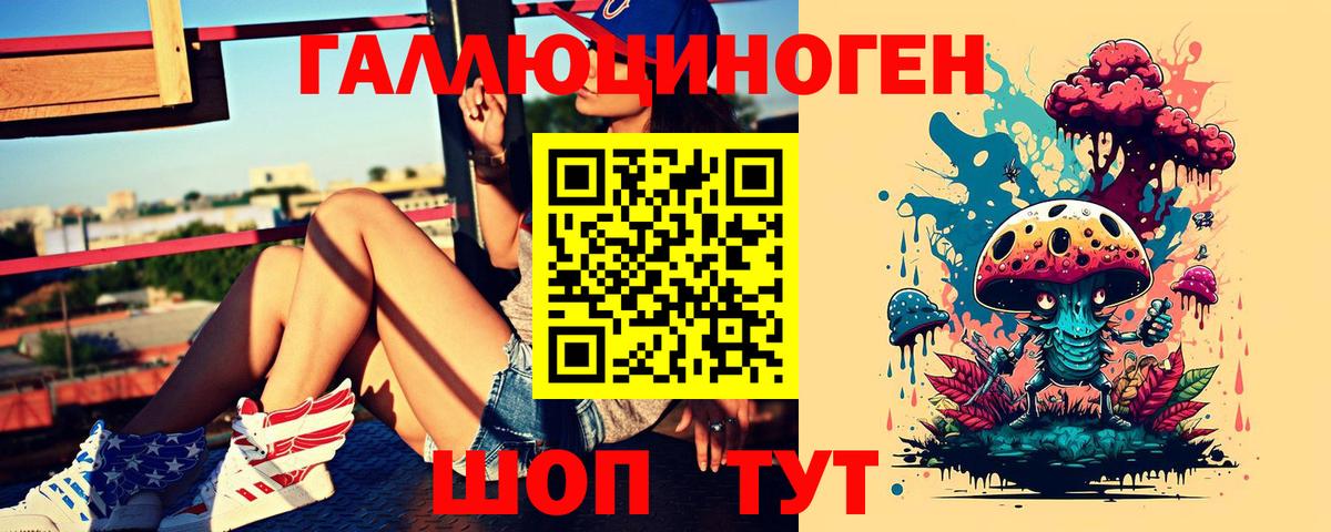 Новозыбков  купить наркотик  Вход с VPN  Псилоцибиновые грибы Psilocybe 