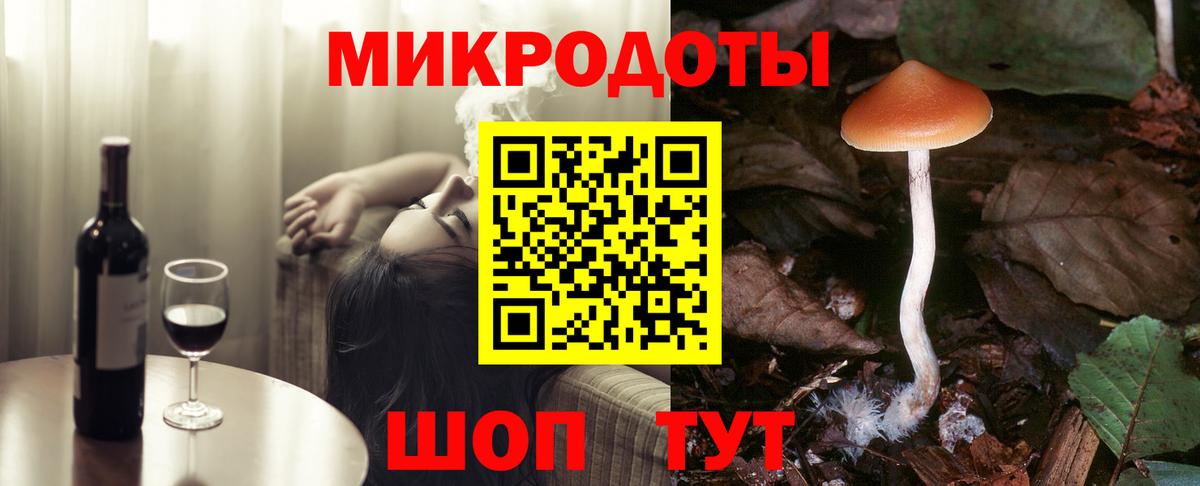 Галлюциногенные грибы Psilocybe Новозыбков