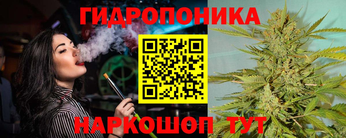 Бошки Шишки Amnesia  Канабис VHQ  Бошки Шишки Amnesia  Новозыбков  Вход с VPN 